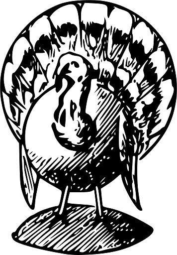 Illustration of a Turkey for Thanksgiving