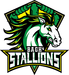 Bagh Stallions 
