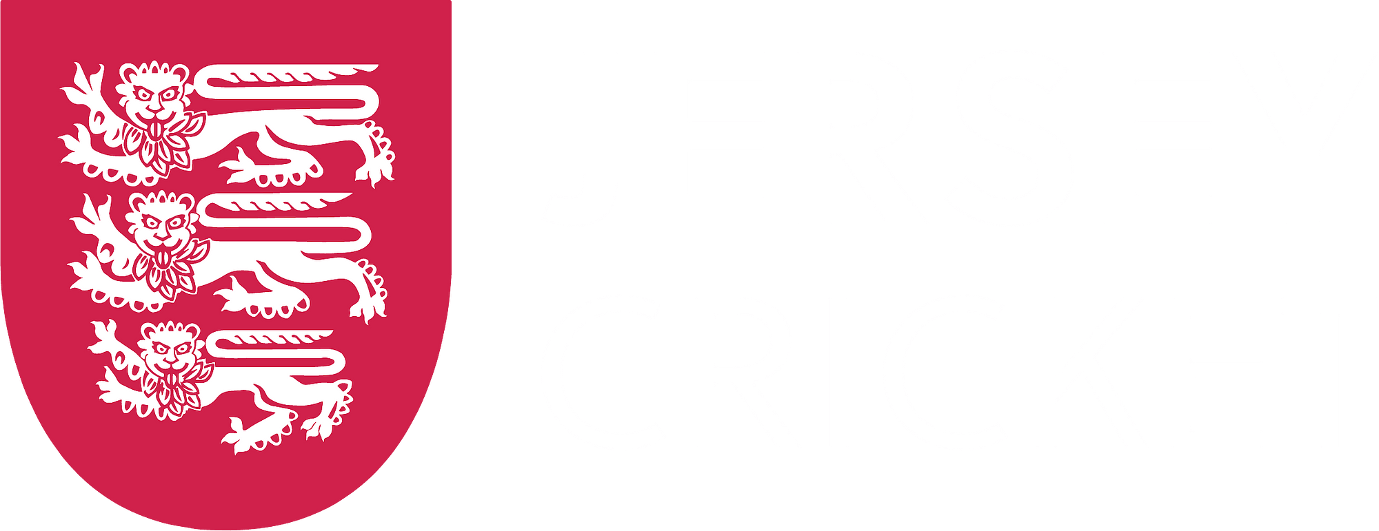 Jersey Cricket Team logo white