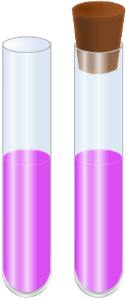 Two Glass Test Tubes
