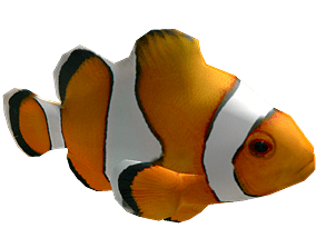 Roblox Clown Fish
