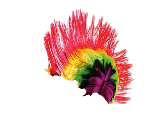 Wig Punker Rainbow