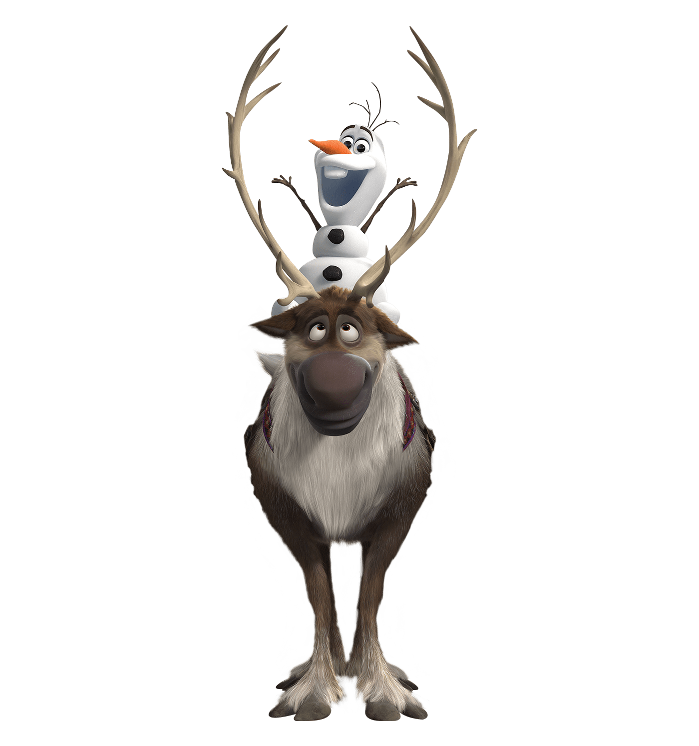 Olaf on Deer