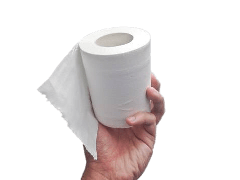 Toilet Paper Roll In Hand