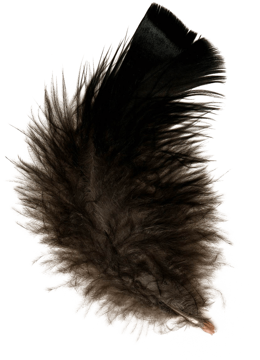 Feather Black