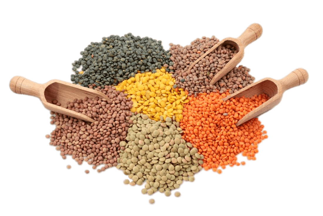 Different Kinds Of Lentils