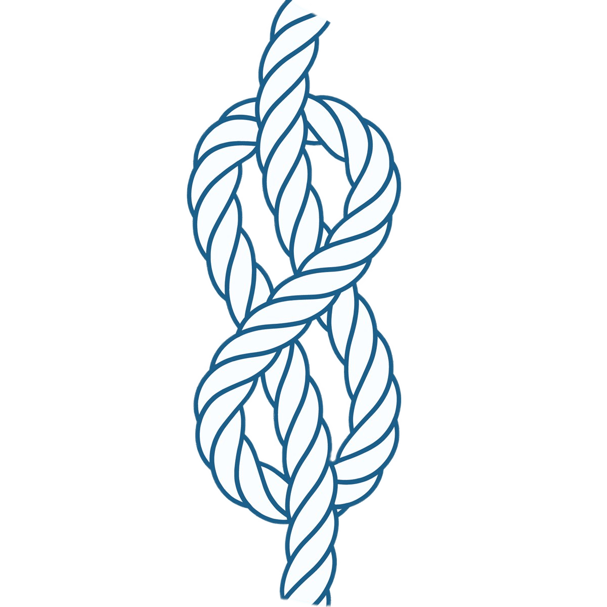 Vertical Figure 8 Knot