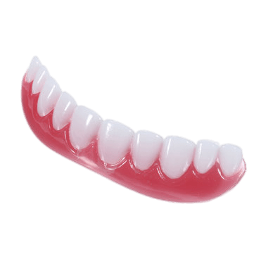 False Teeth Shiny Lower Denture