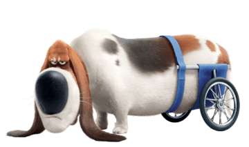 The Secret Life Of Pets Pops