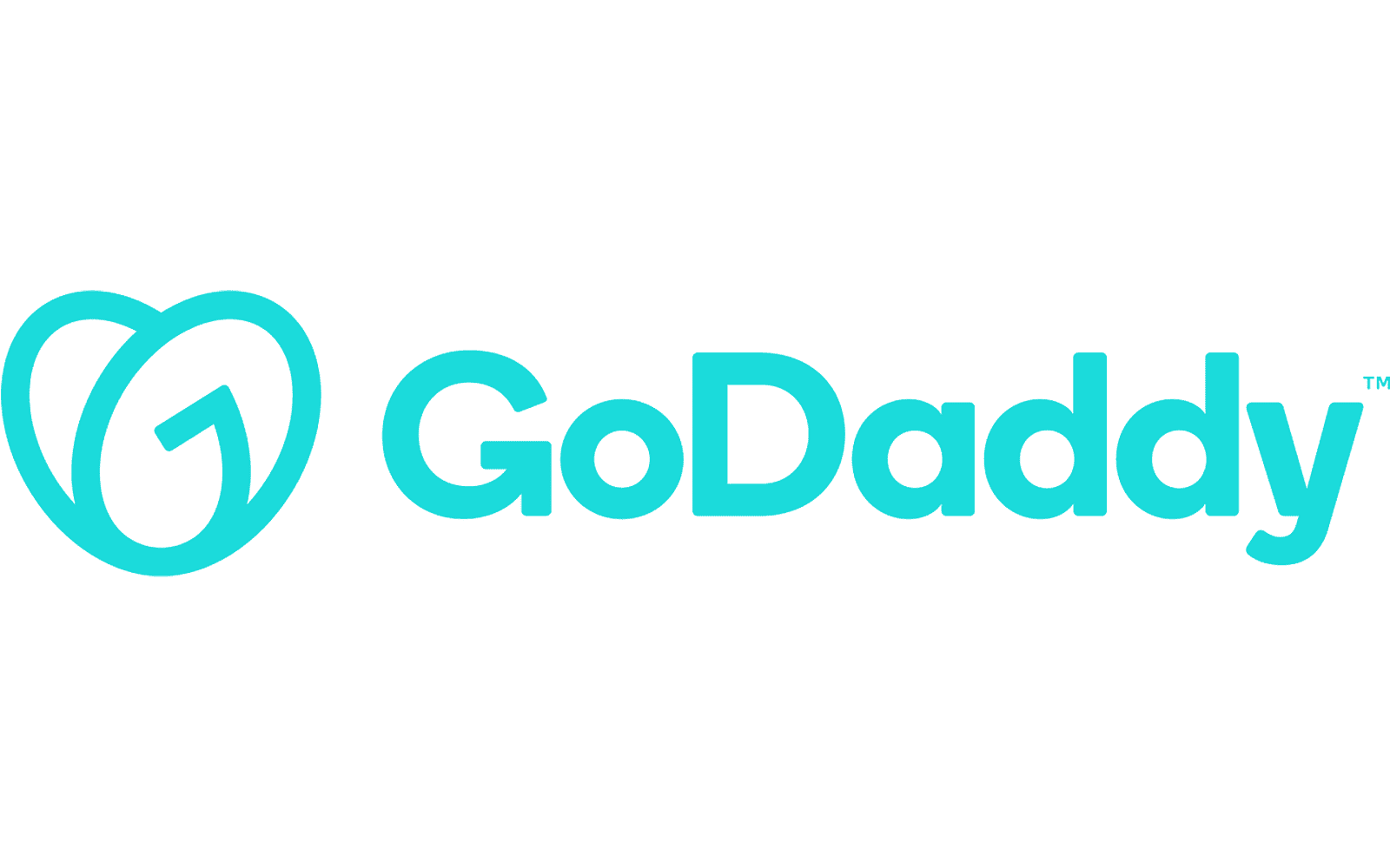 GoDaddy new logo blue