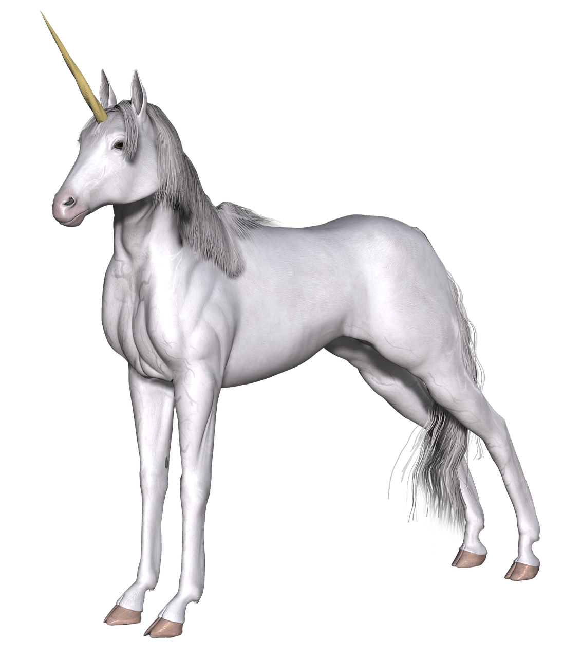 Full White Unicorn