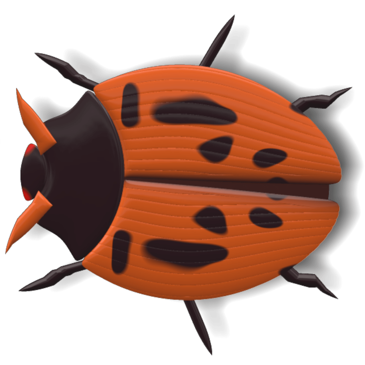 Ladybug Black and Red