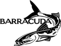 Barracuda