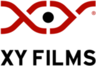 XY FILMS Bosnia & Herzegovina flag