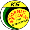 KS Górnik Wesoła Mysłowice