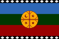Bandera Mapuche
