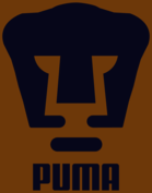 Pumas Universidad
