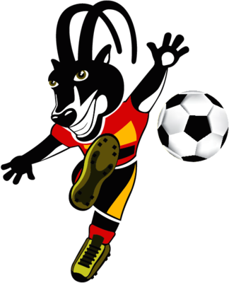 cocan 2010 PALANQUINHA