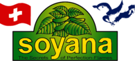 Soyana logo full