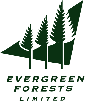 Evergreen Forests