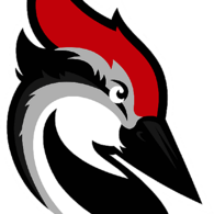 Woodpecker.co Logo Icon