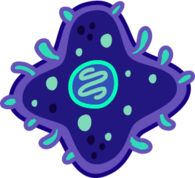 Bacteria Cell Cartoon