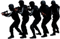 Swat Team