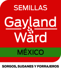 Gayland Ward Mexico