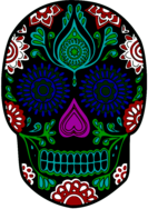 Coloured Skull