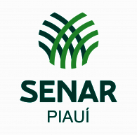 Senar Tekstil Biber Ham Deri PP Çanta Nonwoven Çanta Elyaf Çanta