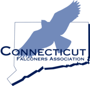 Connecticut Falconers Association