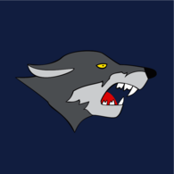 Wolf Aircraft 1 Wing