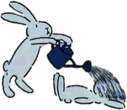 Bob Pouring Water on To Bobek