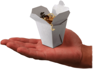 Mini Take Away Box on Hand