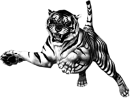 Jumping Tiger Clipart