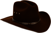 Cowboy Hat Brown Felt