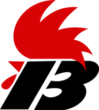 Galo rumo aos 100 anos