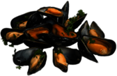 Cooked Mussels With Parsley