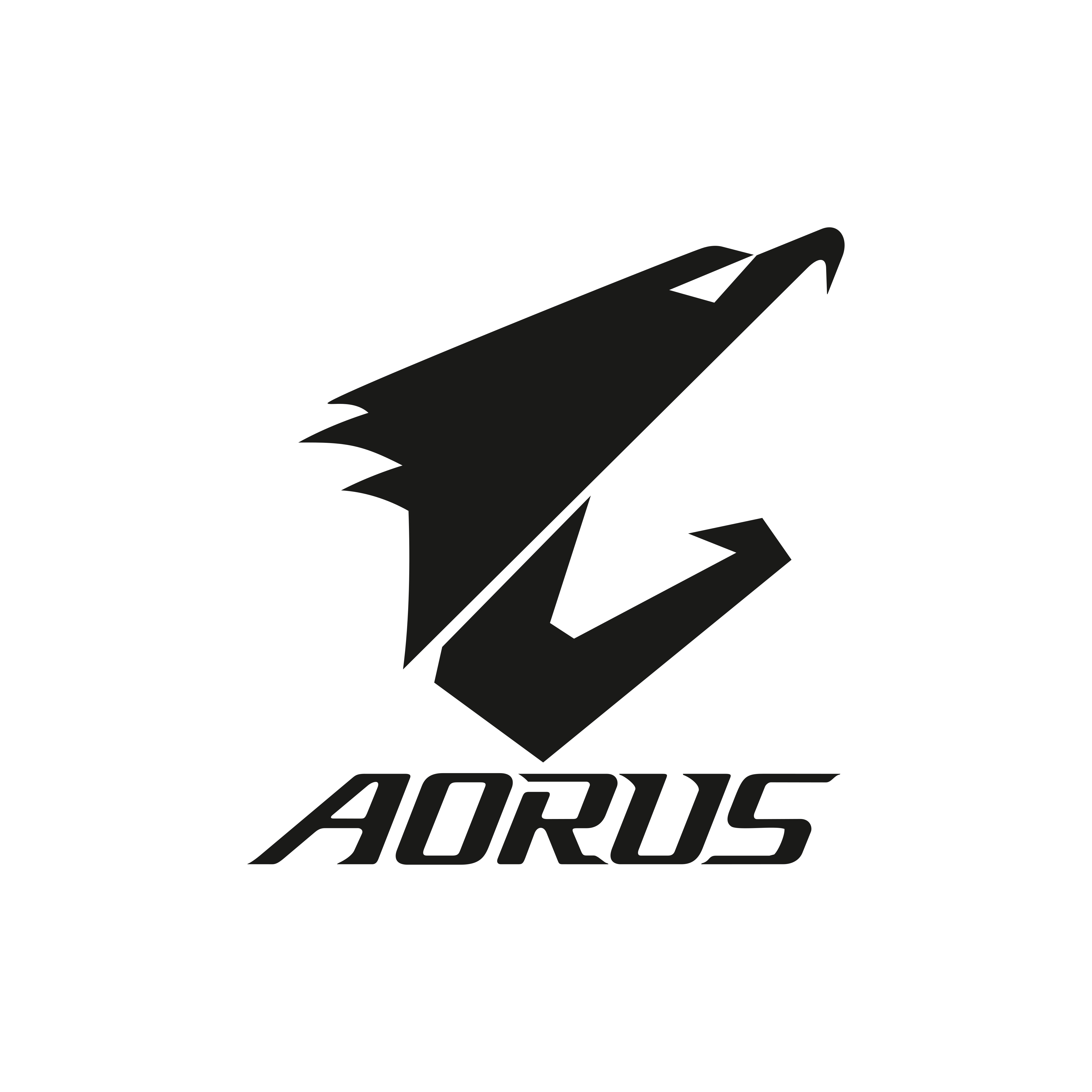 Aorus