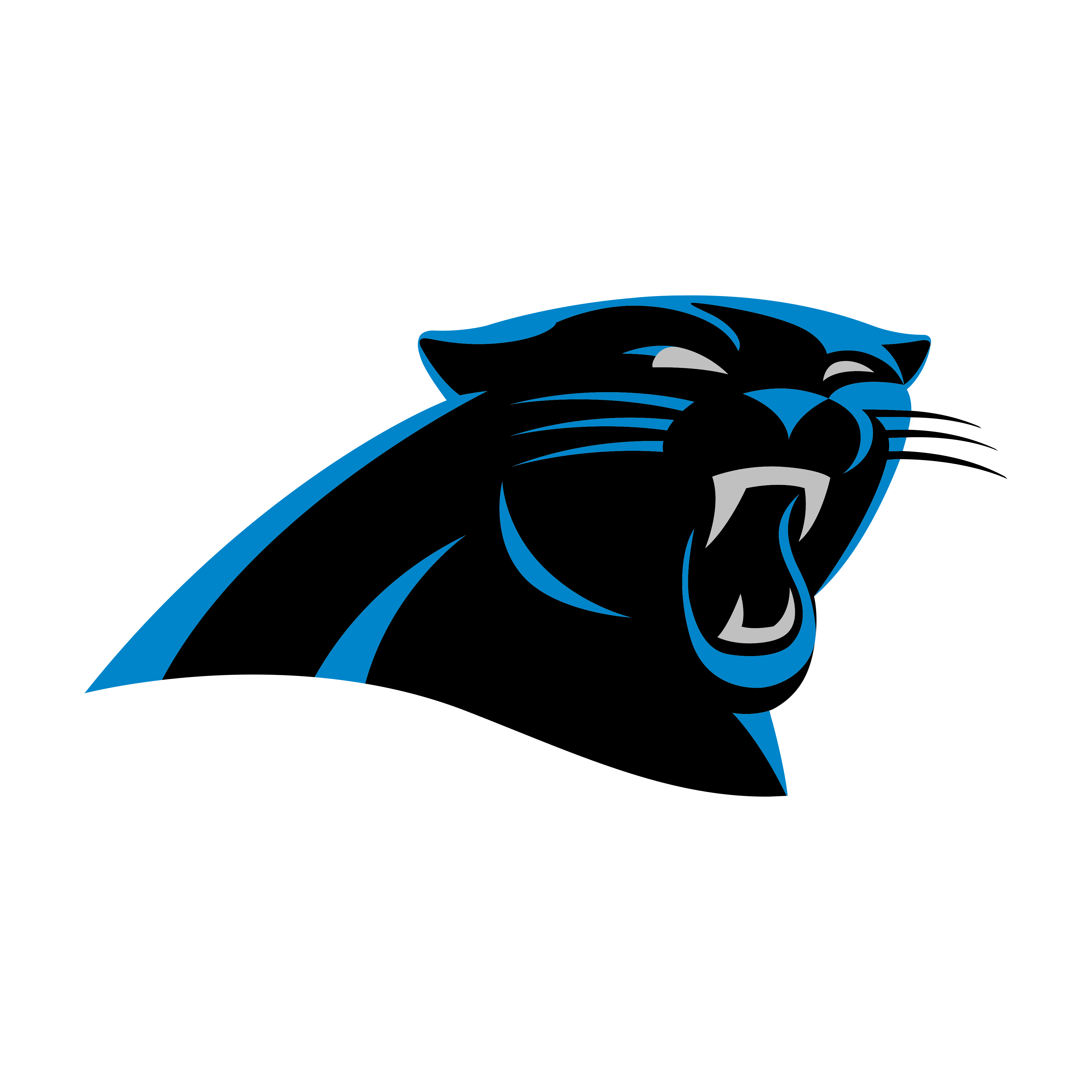 Carolina Panthers