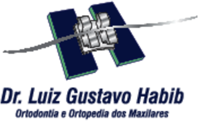 Luiz Gustavo Habib