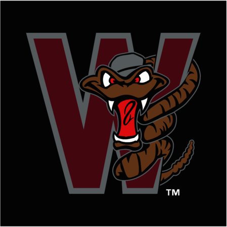 Wisconsin Timber Rattlers