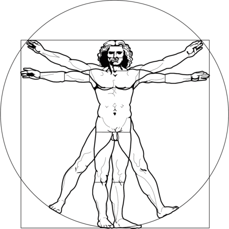 vitruvian