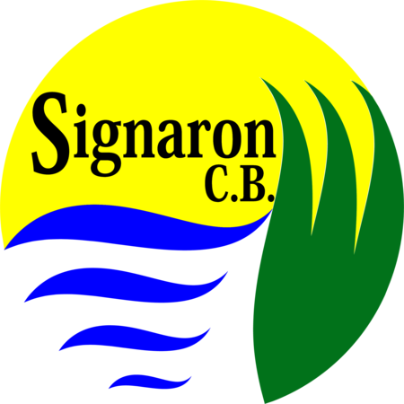 Signaron