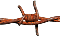 Barbed Wire Rusted Knot