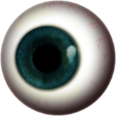 Eye Globe