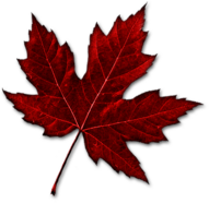 Canadian Maple Leaf