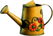 Decorated Metal Watering Can