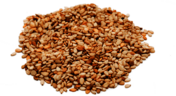 Sesame Seeds