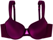 Purple Bra